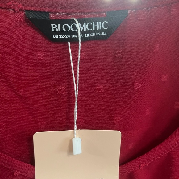 Bloomchic Red Textured Blouse - Picture 2 of 3